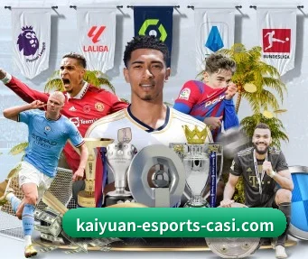 kaiyuan-esports-casi.com 官方入口、APP下载与帮助中心界面